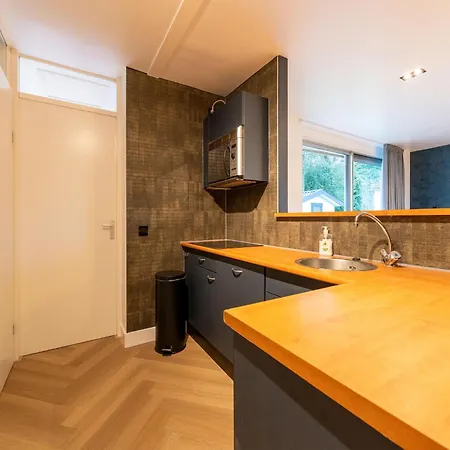 In Zevenhuizen With Roofed Swim Pool 3*